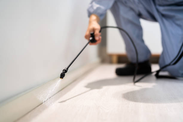 Licensed Pest Control service in Golden Valley, MN - Show Me Pest Control